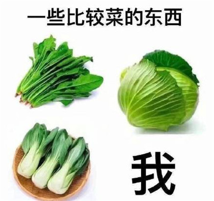 基金绿了表情包图片2021最新-基金一片绿表情包搞笑