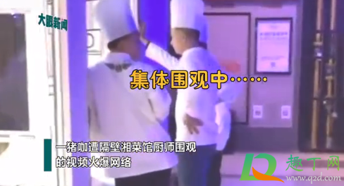 厨师能有啥坏心思呢啥梗什么意思-抖音热梗厨师能有啥坏心思呢出自哪