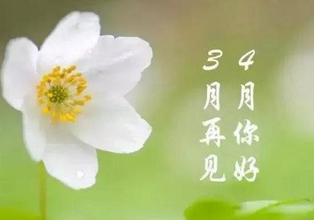 三月再见四月你好说说带字图片无水印2021最新-三月再见四月你好朋友圈说说大全
