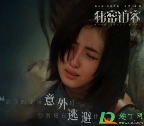 电影秘密访客有小说吗-秘密访客原著小说叫什么名字