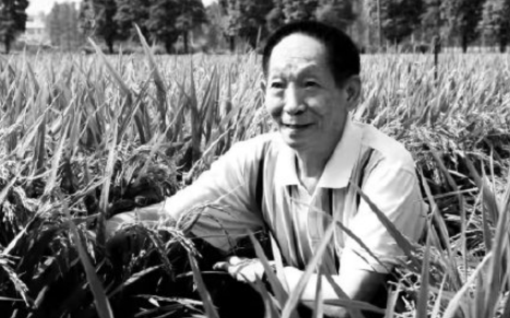 全国节约粮食日是几月几日-522全国节约粮食会实现吗