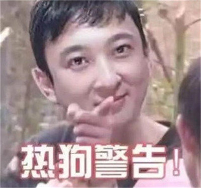 孙一宁聊天同款表情包-王思聪孙一宁聊天表情包最新版