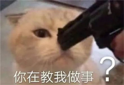 孙一宁聊天同款表情包-王思聪孙一宁聊天表情包最新版