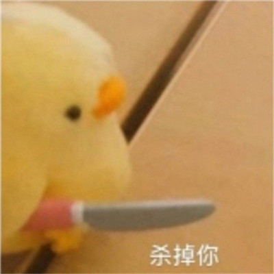孙一宁聊天同款表情包-王思聪孙一宁聊天表情包最新版