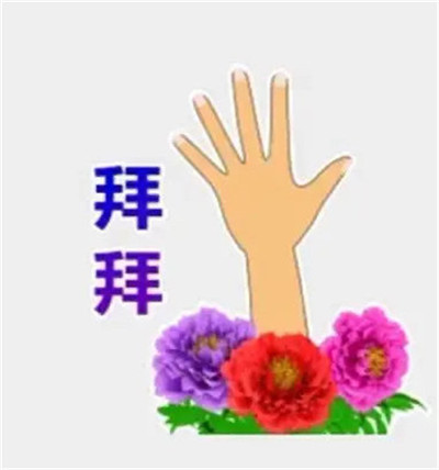 孙一宁聊天同款表情包-王思聪孙一宁聊天表情包最新版