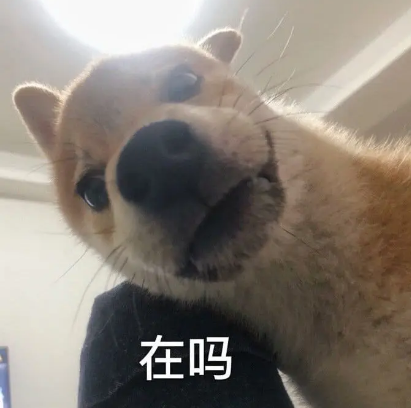 孙一宁聊天同款表情包-王思聪孙一宁聊天表情包最新版