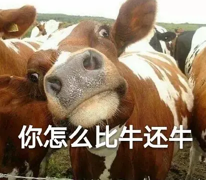 孙一宁聊天同款表情包-王思聪孙一宁聊天表情包最新版
