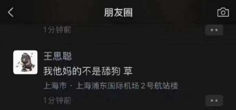 聪油饼什么梗-聪油饼王思聪说法怎么来的