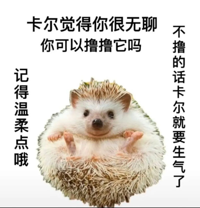 小刺猬卡尔是什么梗-小刺猬卡尔表情包分享高清无水印