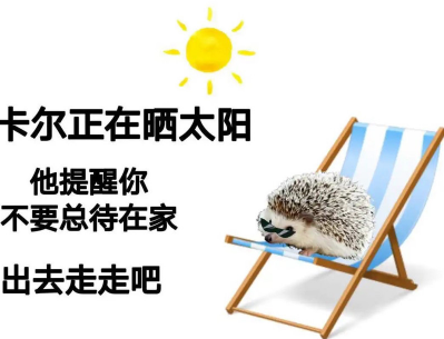 小刺猬卡尔是什么梗-小刺猬卡尔表情包分享高清无水印