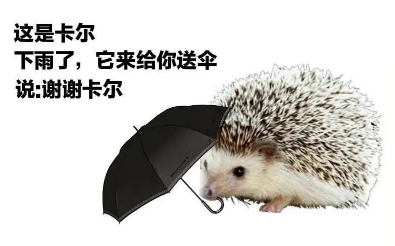 小刺猬卡尔是什么梗-小刺猬卡尔表情包分享高清无水印
