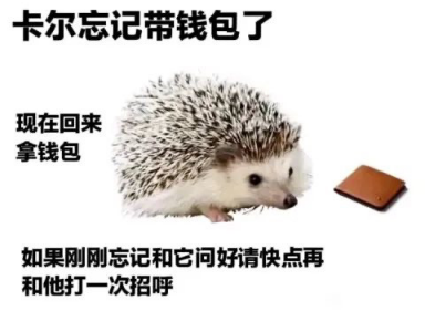 小刺猬卡尔是什么梗-小刺猬卡尔表情包分享高清无水印