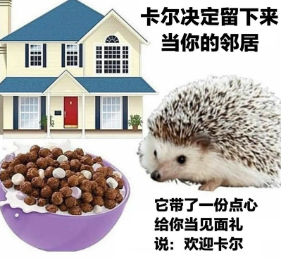 小刺猬卡尔是什么梗-小刺猬卡尔表情包分享高清无水印