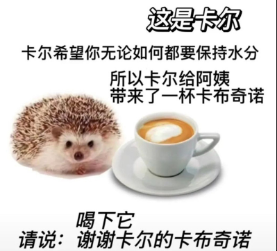 小刺猬卡尔是什么梗-小刺猬卡尔表情包分享高清无水印