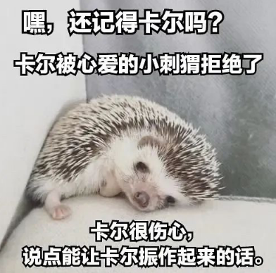 小刺猬卡尔是什么梗-小刺猬卡尔表情包分享高清无水印