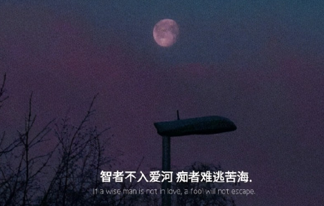 智者不入爱河下一句是什么神回复-智者不入爱河什么意思如何理解