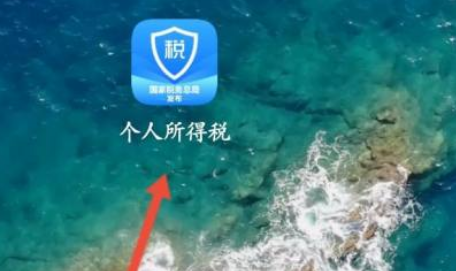 个人所得税办税指南在哪看-个人所得税的验证码总不正确怎么办