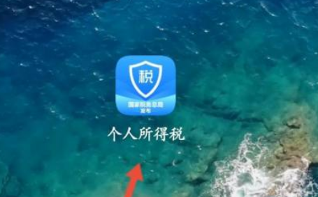 个人所得税办税指南在哪看-个人所得税的验证码总不正确怎么办