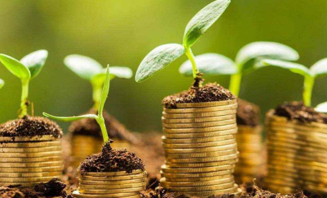 基金过年要不要抛掉-2022为什么年底不要大量买基金
