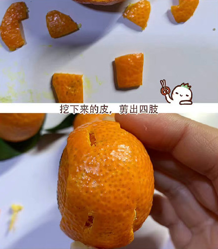 冰墩墩用橘子皮怎么做-橘子皮冰墩墩手工制作方法教程
