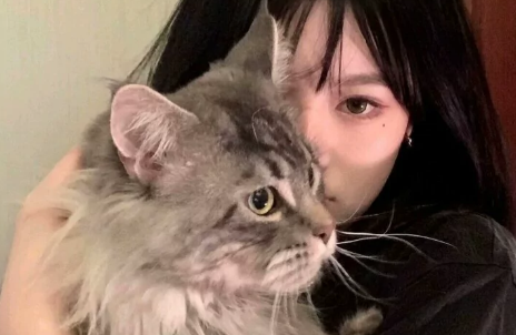 女生说手机坏了是真坏了吗-女朋友手机坏了要不要给她买