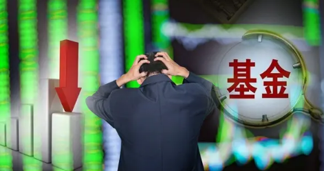炒基金的女人聪明吗-女孩子玩基金是怎样的人