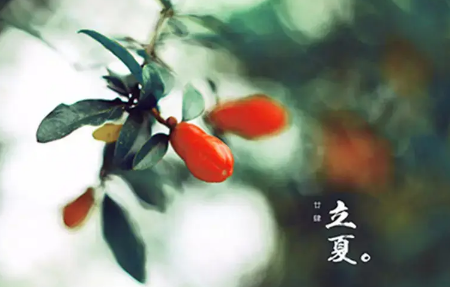 立夏要称体重有什么说法-立夏称体重的吉祥话有哪些