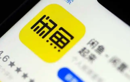 闲鱼涉嫌诈骗冻结支付宝是冻结余额吗-闲鱼涉嫌诈骗冻结支付宝会影响征信吗