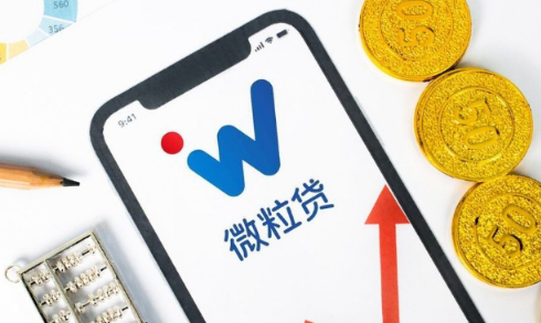 微粒贷第一次用必须电审吗-微粒贷电审不是本人接的可以吗