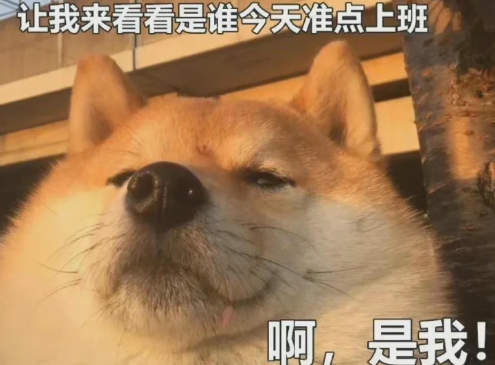 每周单休双休区别大吗-国家规定双休还是单休
