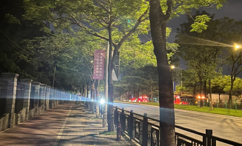 千万别随手拍举报有什么说法-随手拍违章会不会被对方知道