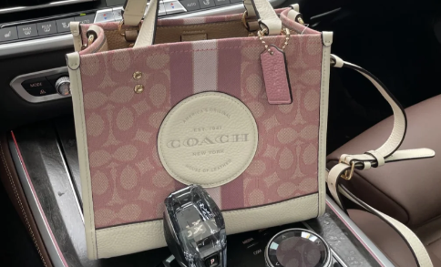 背coach女包很掉档次吗-背coach包是不是很没品位