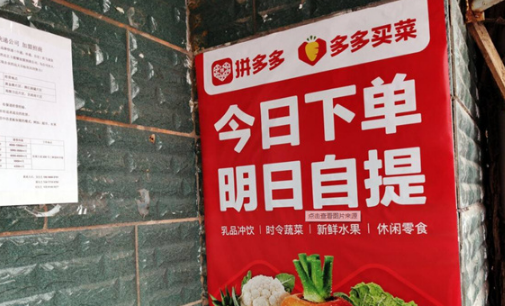 多多买菜自提点一件挣几块-多多买菜自提点会亏本吗