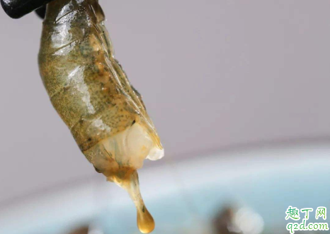 醉虾会查出酒驾吗 吃了两个醉虾开车有没有关系