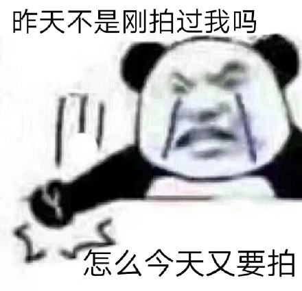 微信拍一拍表情包带字无水印-别拍了别拍了