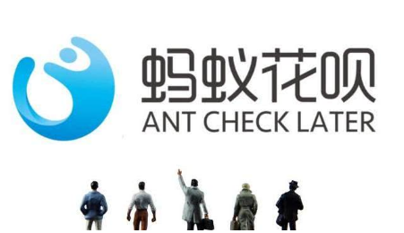蚂蚁合花1000额度怎么用-蚂蚁合花不存钱可以用吗