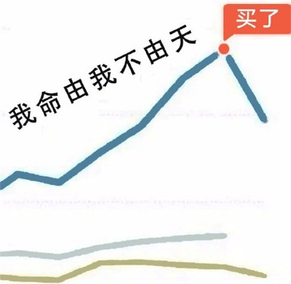 基金绿了表情包图片2021最新-基金一片绿表情包搞笑