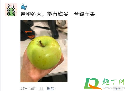 冬天的第一个苹果什么梗-冬天的第一个苹果什么意思