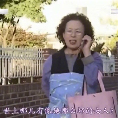 罗文姬表情包无水印2020最新版 罗文姬女士表情包高清合集