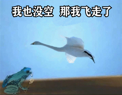 2021跨年夜有空吗天鹅表情包分享无水印-2021跨年夜有空吗表情包合集最新