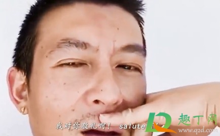 我向你敬礼salute什么梗-我向你敬礼salute什么意思