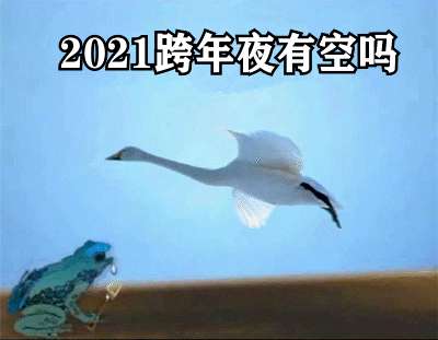2021跨年夜有空吗天鹅表情包分享无水印-2021跨年夜有空吗表情包合集最新