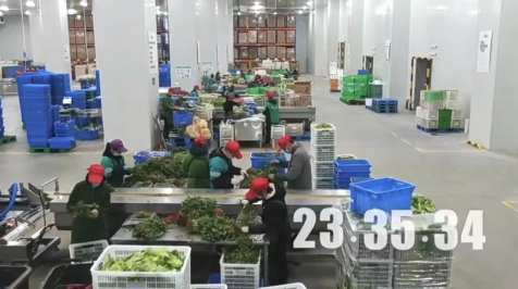 叮咚买菜是阿里系还是腾讯系-叮咚买菜是怎么供货的