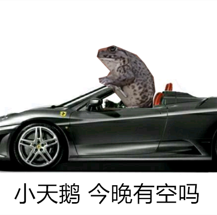 2021跨年夜有空吗天鹅表情包分享无水印-2021跨年夜有空吗表情包合集最新
