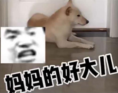 妈妈的好大儿什么梗-妈妈的好大儿什么意思