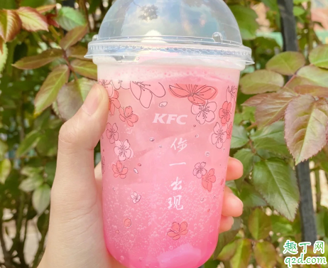 KFC樱之雪多少钱一杯 肯德基KFC樱之雪好喝吗